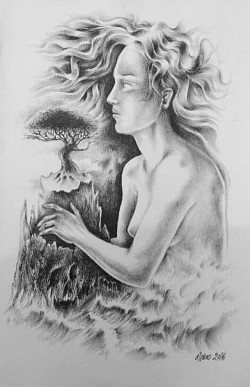 Daphn&eacute; - 14,5 x 21cm - crayon &agrave; papier