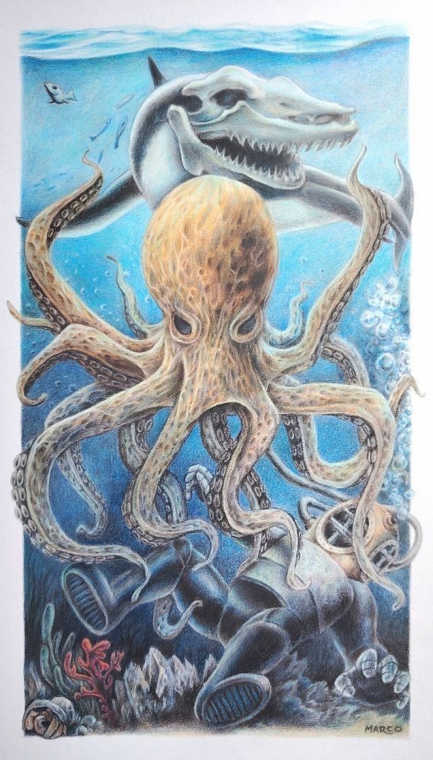 Octopus - Crayons de couleur sur papier Canson.